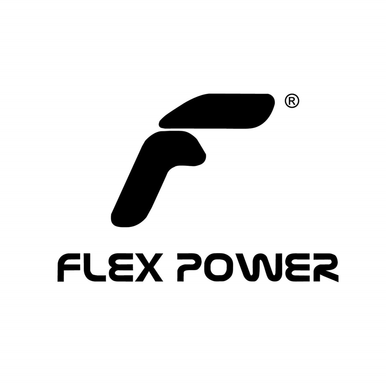 FLEX POWER