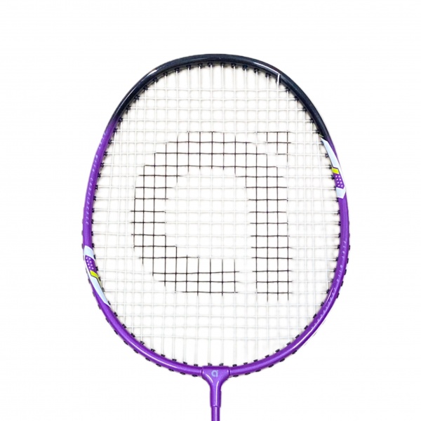 13335a5b-7334-4595-9d86-674e9f18288d