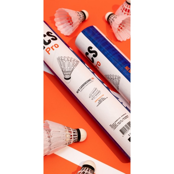 506337690_1038196001809539_4708364661146112032_n