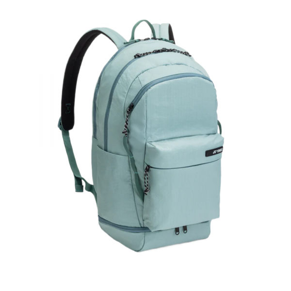 bag2668ex