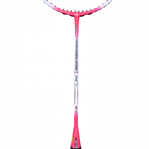 bfe9bbca-117a-4816-a932-9a0919f66a21