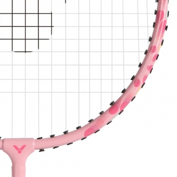 e3de2fad-0be2-443b-94a1-0716c7f75e3b